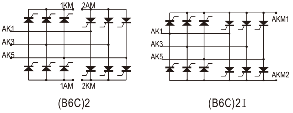 Double Three-phase Anti-parallel Connection Assemblies &#40;B6C&#41;2 Series